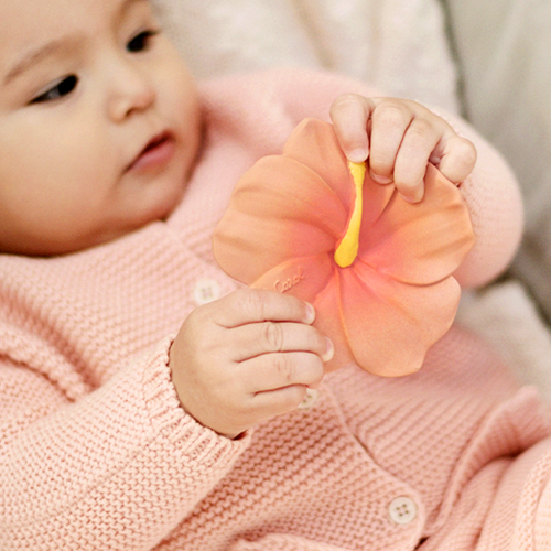[올리앤캐롤] 핑키히비스커스 치발기 목욕놀이 EQ개발 아기장난감