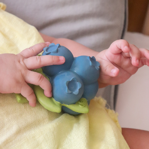 [올리앤캐롤] 제리블루베리 치발기 목욕놀이 EQ개발 아기장난감