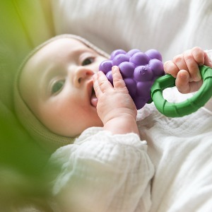 [올리앤캐롤] 래틀 그레이프 딸랑이 치발기 목욕놀이 EQ개발 아기장난감